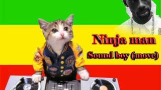 Video thumbnail of "Ninja man - sound boy (love fever riddim)"