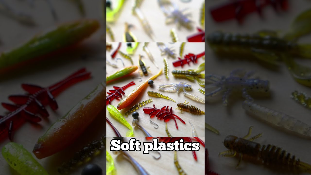 Best Baits For Bass Fishing