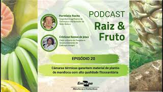 Podcast Raiz & Fruto - Ep. 20 - Tecnologia garante materiais de plantio de mandioca mais sadios
