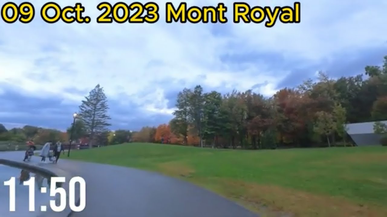 Montreal hiking: Mont Royal, 30 Minutes Workout on 09 Oct. 2023 (Treadmill Virtual Scenery)