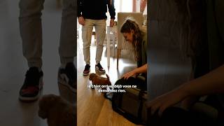 Le 1Er Jour Parfait Avec Un Chiot Cest Ça Ft.