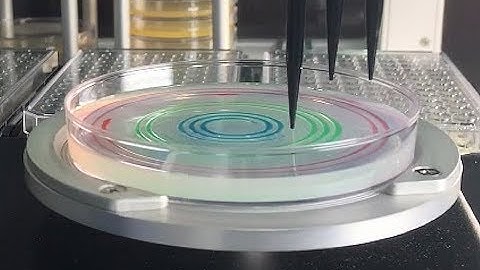 Spiral plating Multi Segment
