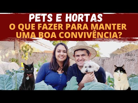 Vídeo: Herb 'N' Living: Cultivando Uma Horta Para Seu Animal De Estimação