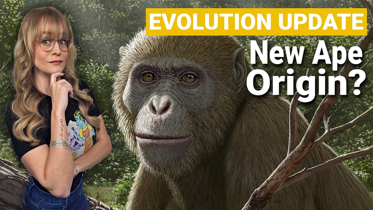 Egypt’s Ape Discovery Rewrites History