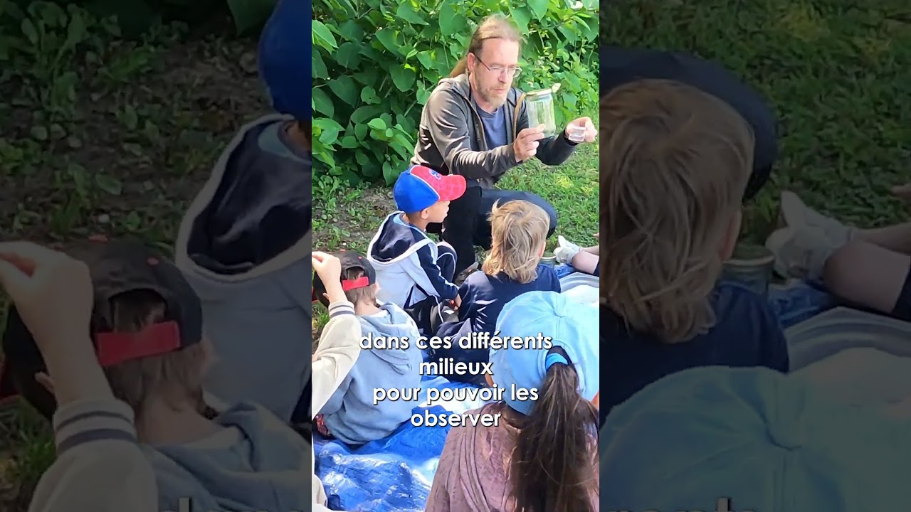 L comme les petites bêtes de l'eau à la Loupe