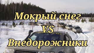 видео: Wrangler Rubicon, Sport2, L200, Pajero 4, Sorento, Terrano, Tlc80 и УАЗ. Борьба с мокрым снегом. картинка: Wrangler Rubicon, Sport2, L200, Pajero 4, Sorento, Terrano, Tlc80 и УАЗ. Борьба с мокрым снегом.