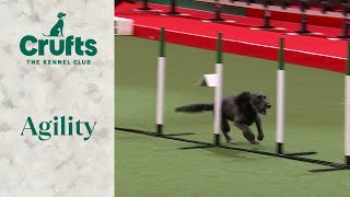 Agility Singles Heat Part 1(Jumping) | Crufts 2024