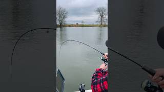 Meerval Junge 🤣 #angeln #fishing #zanderangeln #welsangeln #meerval #lowrancefishing