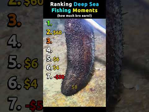 Ranking Deep Sea Fishing Moments Pt.12 | How much bro earn? #deepseaexploration