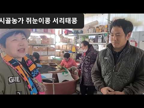 햇 <strong>서리태콩</strong> 쥐눈이콩 010 5622 4605 해풍맞은 안전하고 건강한 먹거리 판매합니다
