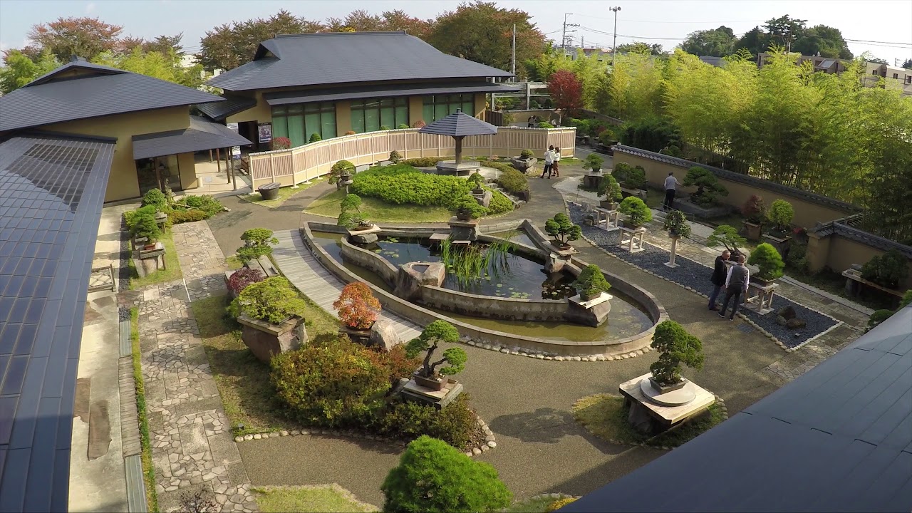 Omiya Bonsai Art Museum 4K YouTube