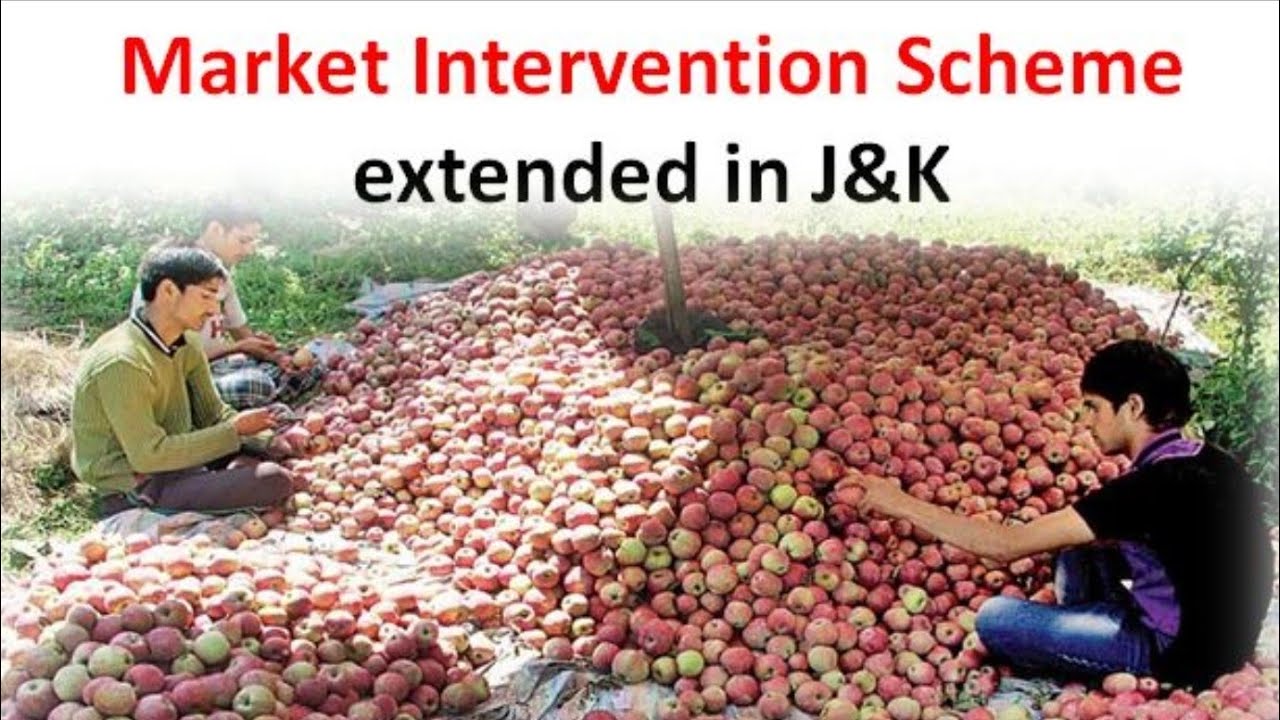 TIE-33 Market Intervention Scheme