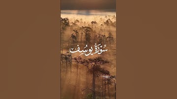 قرآن كريم سورة يوسف Surat Youssef Saint coran #اكسبلور #راحة_نفسية #حالات_واتس