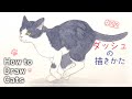 全力疾走！😸走るネコの描き方【動きのあるポーズを描く🐈💨】