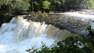 Duck River in Manchester, TN.