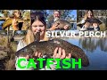 Huge catfish and monster silver perch fishing