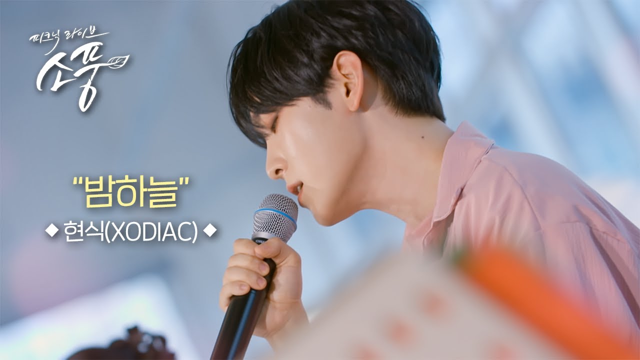 현식 - 밤하늘ㅣ피크닉라이브 소풍ㅣEP.141