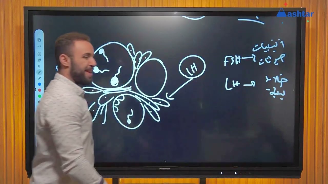 الهرمونات في اﻻنسان - المناسل الذكريه و تأثير كل من هرمون FSH  و LH  علي الأفرازات المختلفه