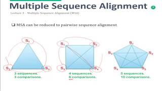 Bioinformatics Course - Multiple Sequence Alignment - Sum of Pairs and Star Algorithms