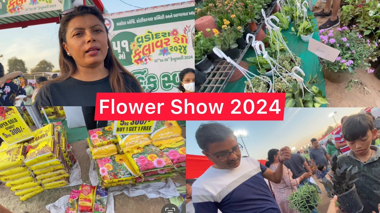 ₹50 plants 🪴 Vadodara Flower Show 2024 🌷Cheapest Plants Exhibition