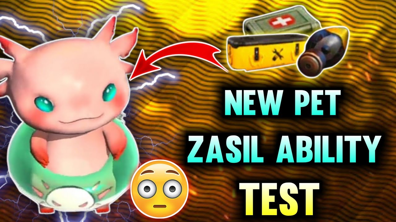 NEW ZASIL PET ABILITY TEST 🔥// AFTER OB33 UPDATE ZASIL PET OP ABILITY TEST 🔥