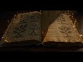 The Voynich Manuscript : Is this history's greatest hoax, or a book left behind by a time traveler?