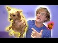 WHAT HAPPENED TO MY DOG?! **exposed**