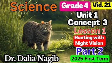 ساينس رابعه ابتدائي ترم اول 𝟐𝟎𝟐𝟓 𝐒𝐜𝐢𝐞𝐧𝐜𝐞 𝐆𝐫𝐚𝐝𝐞 𝟒 𝐂𝐨𝐧𝐜𝐞𝐩𝐭 𝟑 𝐋𝐞𝐬𝐬𝐨𝐧 𝟏 𝐏𝐚𝐫𝐭 2 𝐇𝐮𝐧𝐭𝐢𝐧𝐠 𝐖𝐢𝐭𝐡 𝐍𝐢𝐠𝐡𝐭 𝐕𝐢𝐬𝐢𝐨𝐧