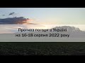 Прогноз погоди в Україні на 16-18 серпня 2022 року