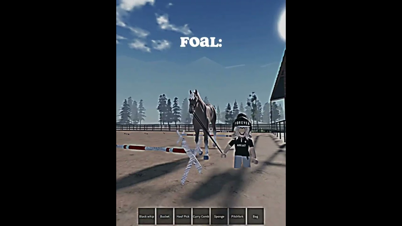 Daisy as a foal vs now 💕 | Maple.Springs.Eventing |