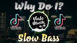 Unknown Brain - Why Do I? (feat. Bri Tolani) || (Nale Musik) Slow Bass