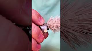 Goddard Caddis Fly Tying! #fishing #flytying #fly #flyfishinglife #semperfli