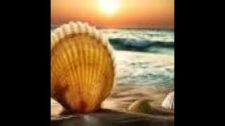 AffectionHour141SeaShells2 MixedByElMcPhablo