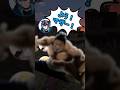 【呪術の使い方】キモすぎて滅ｗｗｗ　 #shorts