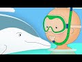 Caillou Swims with Dolphins | Caillou Cartoon