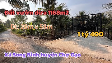 T143.Chủ ngộp bán 1168m2 vườn dừa gần Chợ Điền Mỹ của huyện Chợ Gạo. Thích hợp xây nhà vườn #datnen