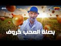 زراعة البصل من البداية حتى الحصاد الشتل الري الرعاية التسميد