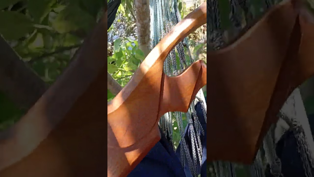 วันนี้ออกหมายกลับบ้าบเทๆ