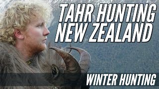 Tahr Hunting New Zealand - Winter Hunting