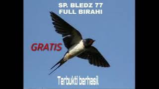 Download lagu SP. BLEDZ 77 Terbukti joss bosku.