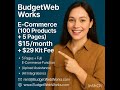 E-Commerce Website with 100 Products & 5 Pages – Just $15/Month | BudgetWebWorks