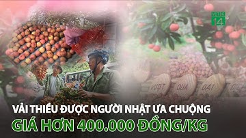 Vải thiều được người Nhật ưa chuộng, giá hơn 400.000 đồng/kg | VTC14