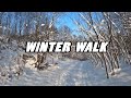 Szczepanowski Forest Winter Walk - Spacer po Lesie Szczepanowskim - Winter 2021 - Poland (4K)