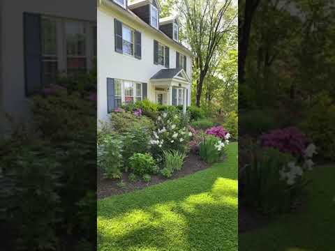 Vidéo: Pretty Weeds For The Lawn - Informations sur la culture d'une pelouse de fleurs