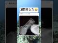 バグりすぎwww #shorts #おもしろ #くしゃみ #病院 #奇跡