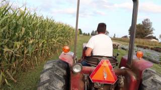 Basehore Farm Fall Festival Advertisement