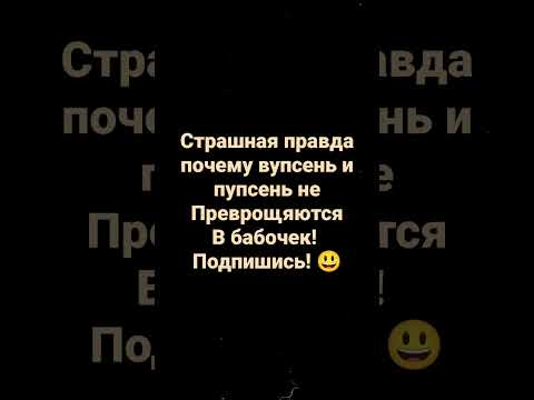 страшная правда почему вупсень и пупсень не превращаются в красивых бабочек! Они не гусеницы а змеи!