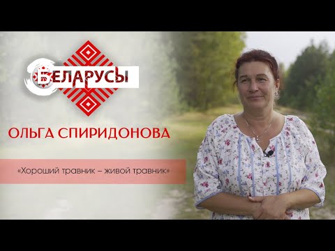 Как оставаться здоровым: о сборе и волшебном действии лечебных трав