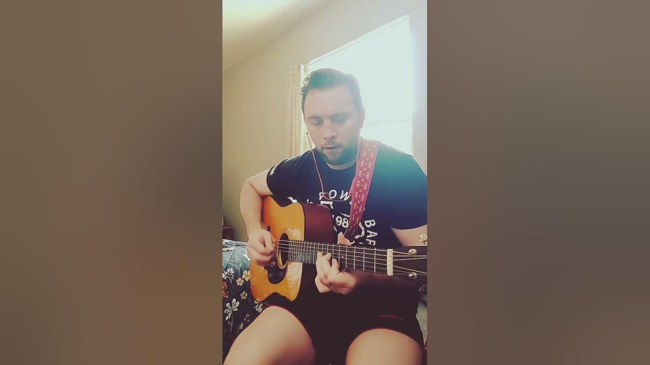 dust in a baggie guitar cover