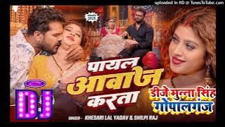 Dj Remix 🎶 Raja Payal Utar Da Aawaj Karata | Dj Munna Gopalganj | Viral Dj Songs